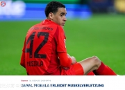 开云体育app-拜仁慕尼黑大将受伤，缺席未来几场比赛的简单介绍