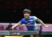 开云体育中国官网-德国队绝杀奥地利队，张本智和关键制胜的简单介绍