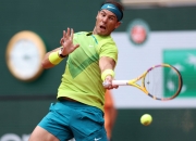 开云体育下载-法国网球队强势德国网球队，纳达尔惊艳世界的简单介绍