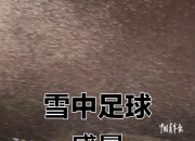 开云下载-球员们的拼搏精神感染着观众