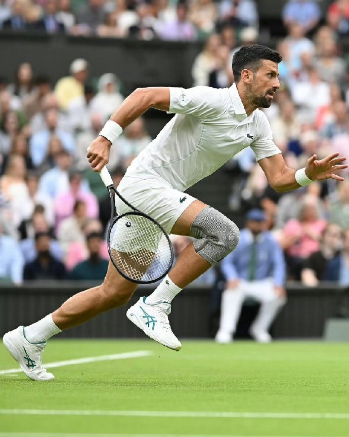 温网险胜美网，德约科维奇高光表现的简单介绍