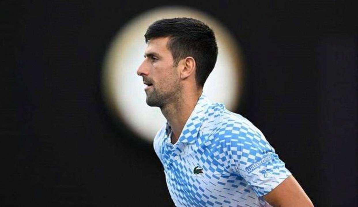 温网险胜美网，德约科维奇高光表现的简单介绍