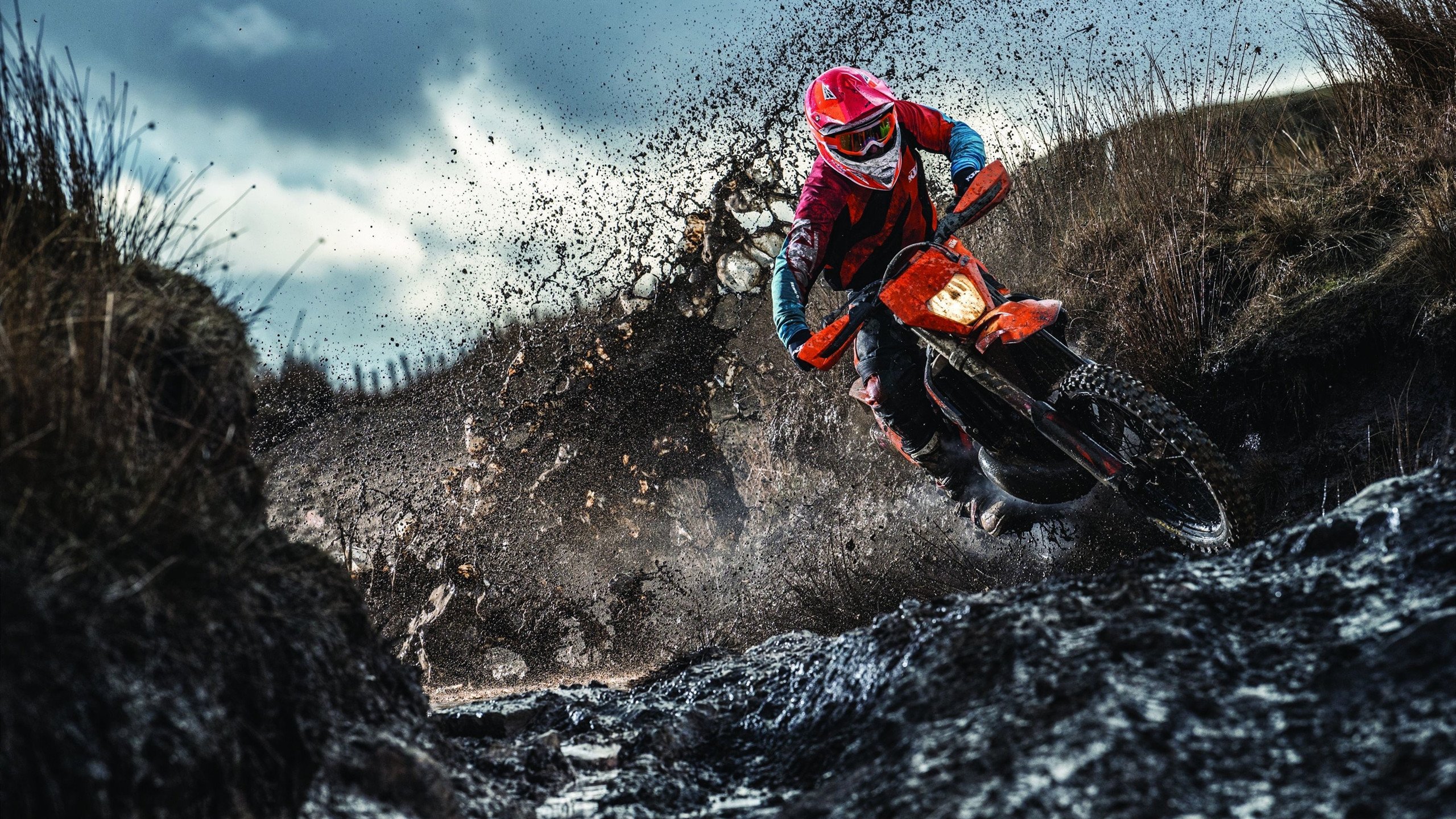 波兰队轻取中国队，张本智和统治全场